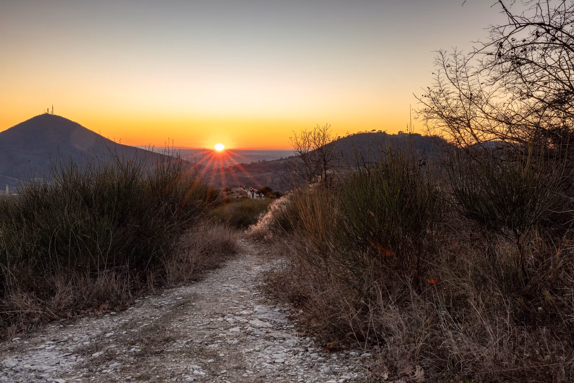 Finding Your Path: An In-Depth Look at Different Hiking Experiences